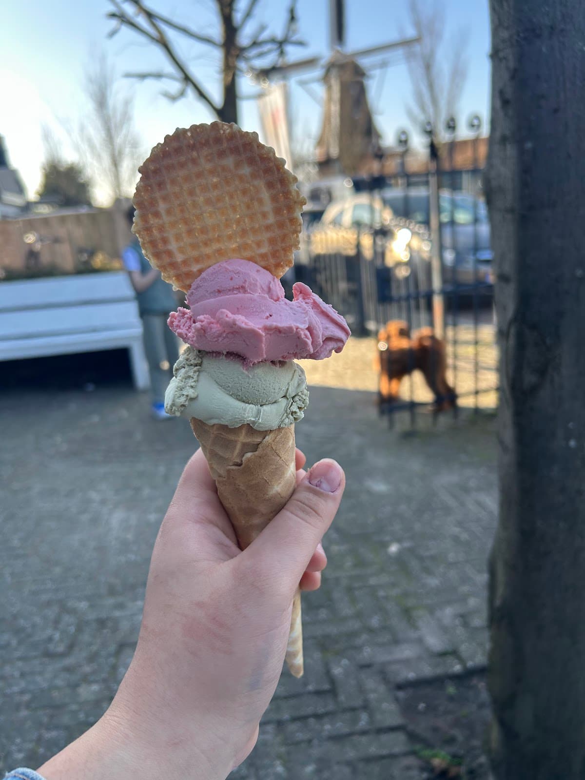 IJshoeve Sloten