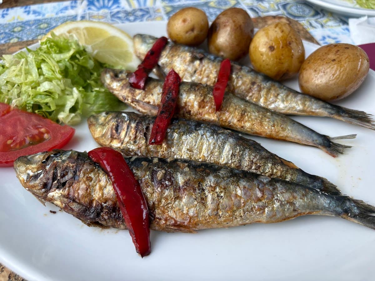 Olá SARDINHA