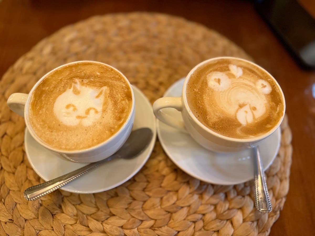 Magnolia café