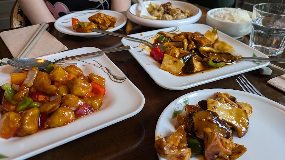 Tofu Vegan Gloucester Road
